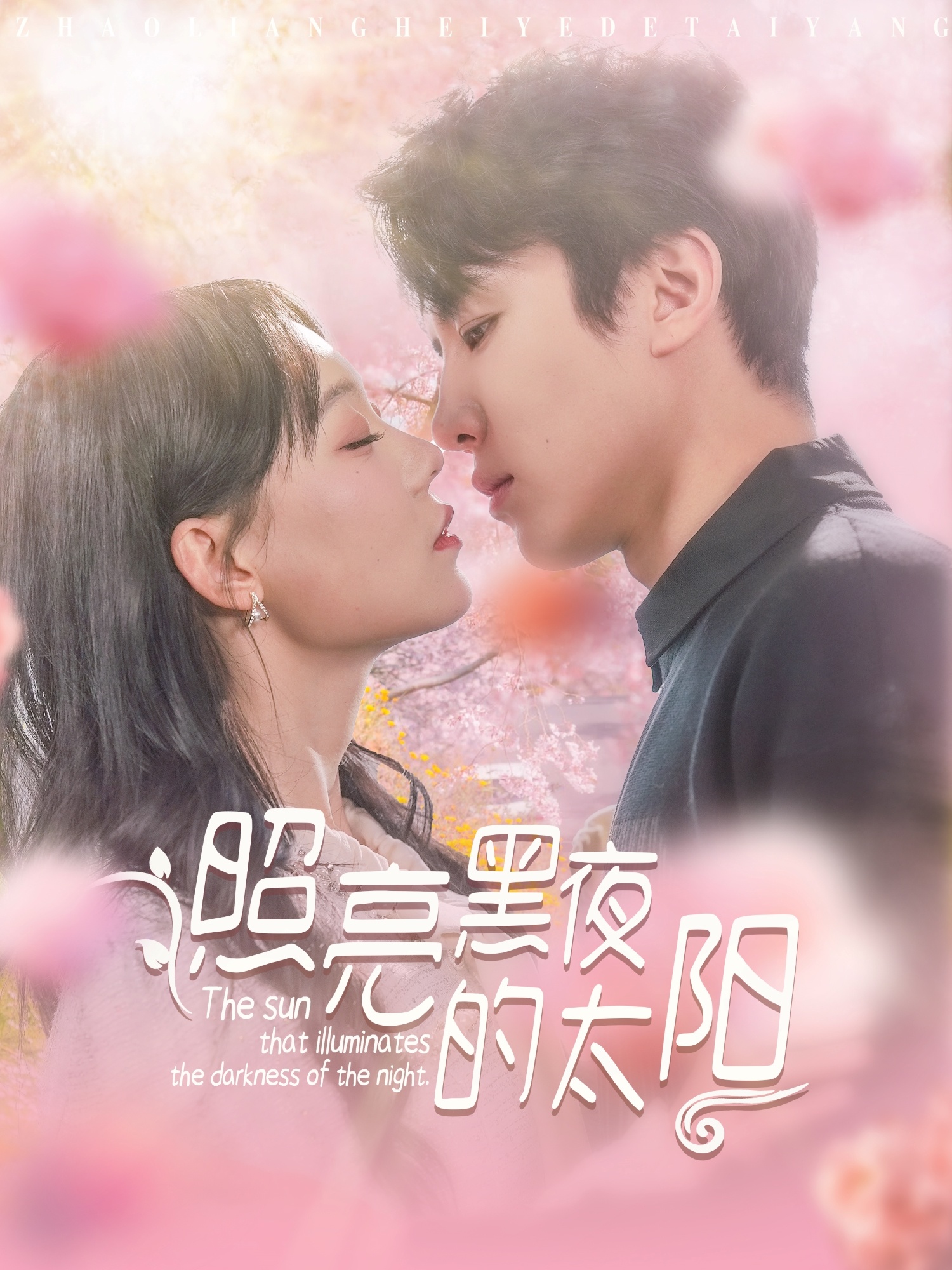 短剧《照亮黑夜的太阳》 免费观看高清全集，在线播放完整版，大结局已完结！