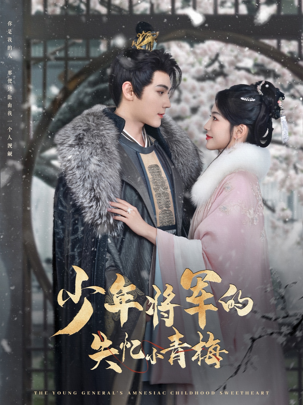 短剧《少年将军的失忆小青梅》 短剧全集在线，免费高清观看，大结局震撼来袭！