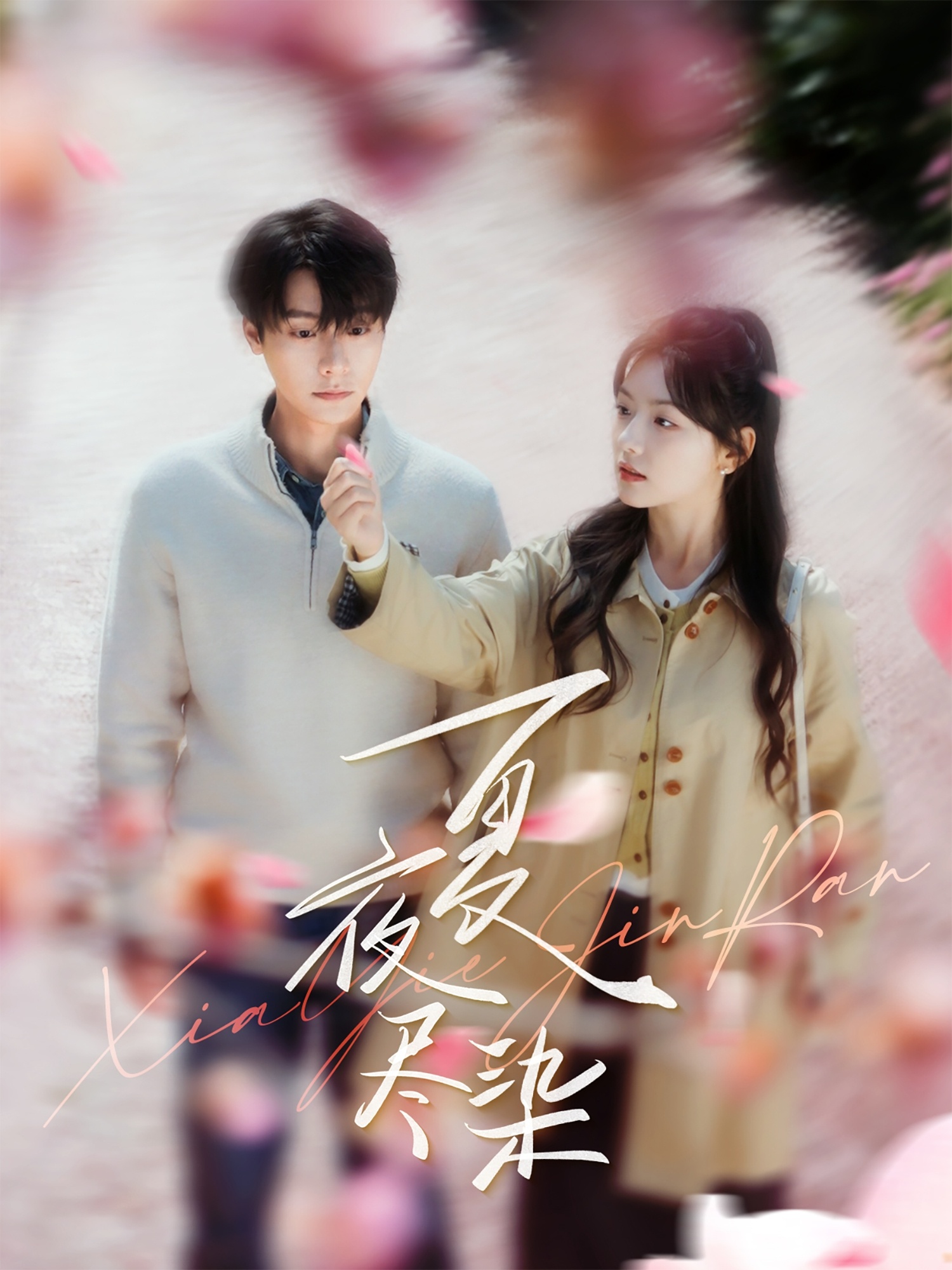 短剧《夏夜尽染》 高清短剧全集免费，完整版在线无障碍观看