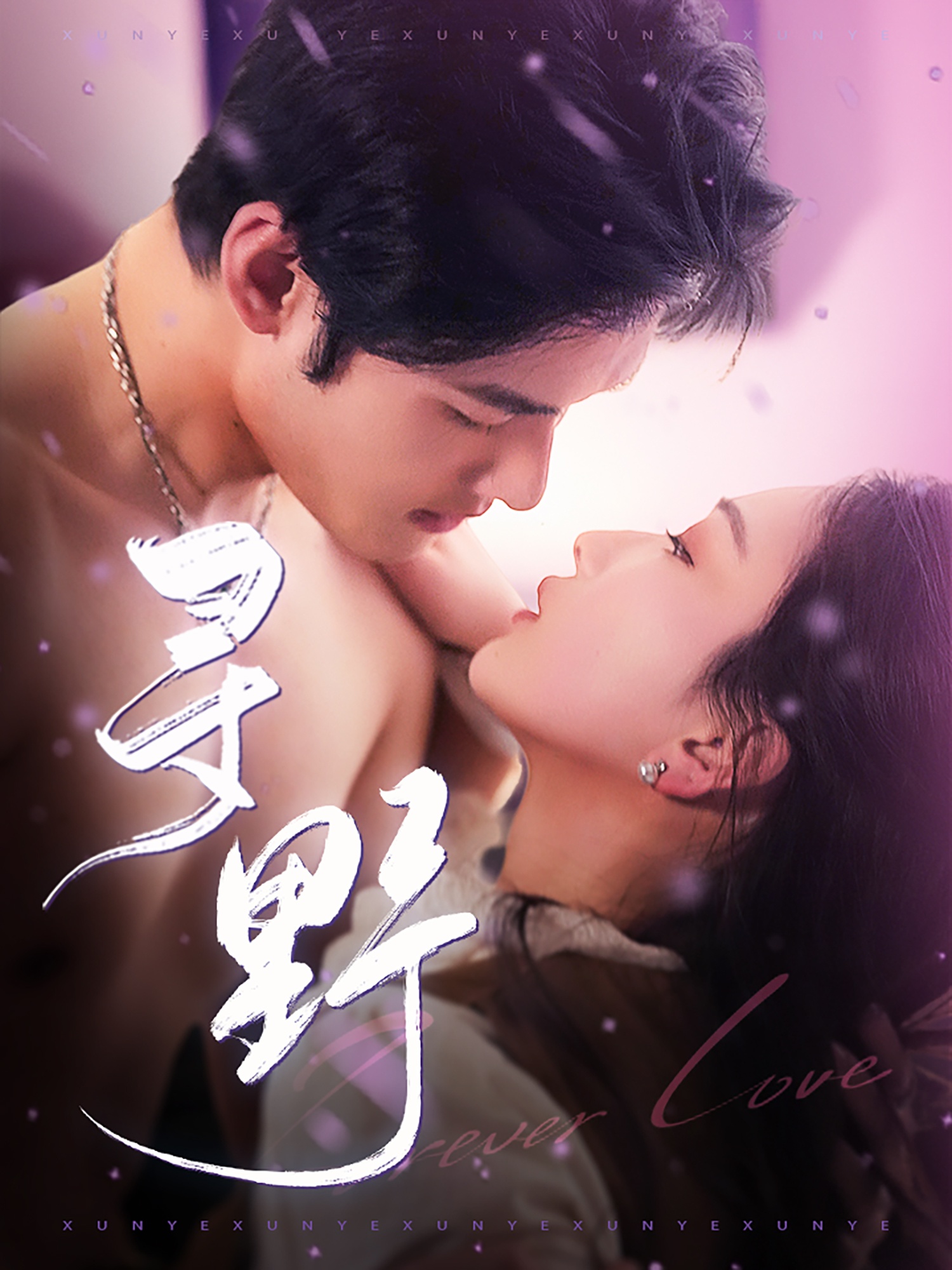 短剧《寻野》 免费观看！高清全集在线播放，大结局已完结