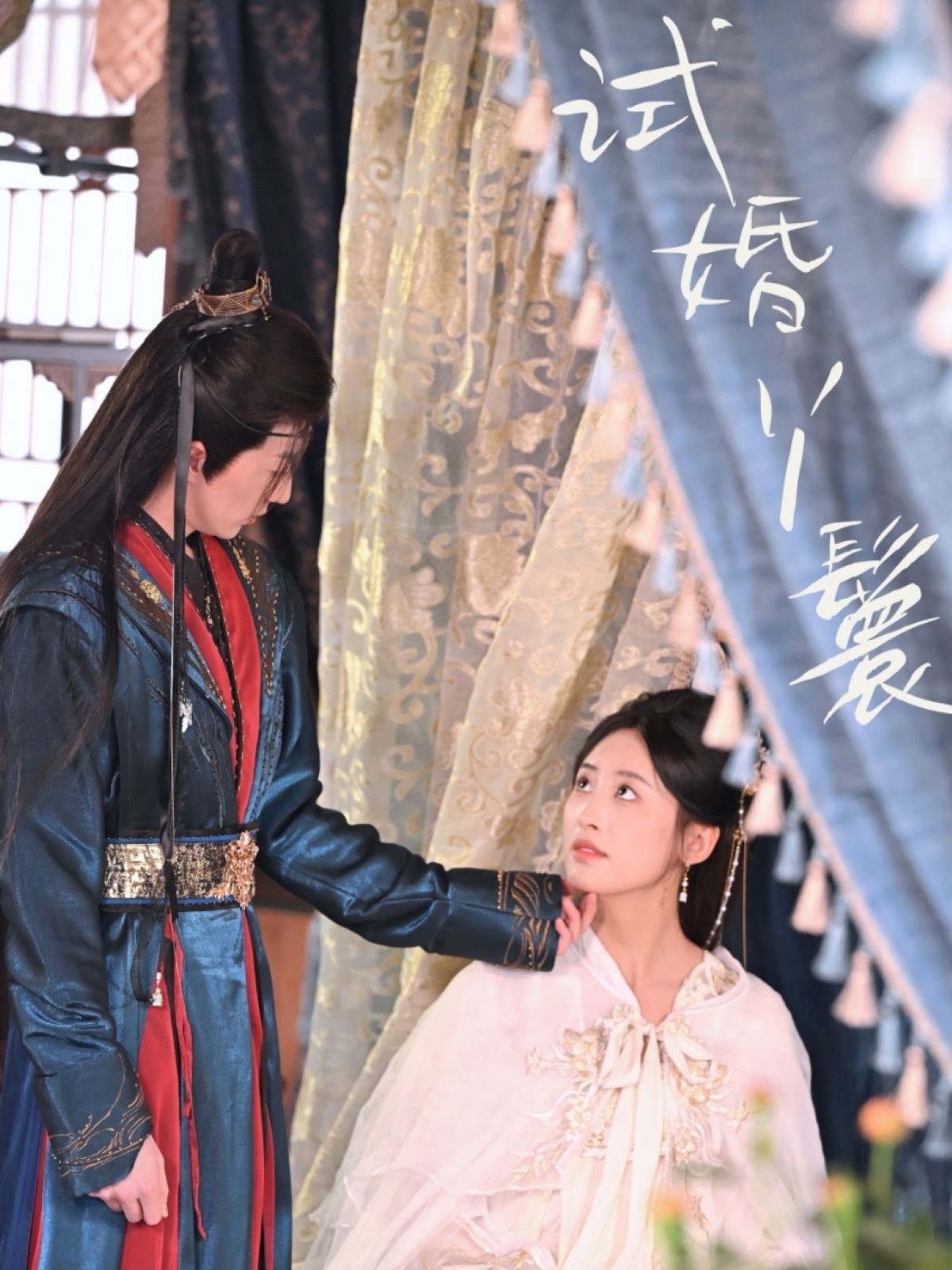 短剧《试婚丫鬟》 免费看高清全集，大结局震撼揭晓