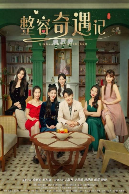 短剧《整容奇遇记》 短剧全集免费看，高清在线播放，大结局已完结！