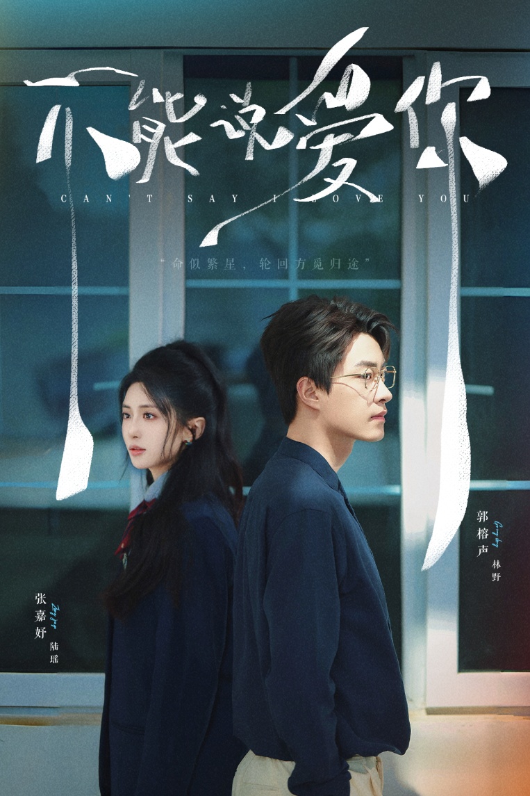 短剧《不能说爱你》 免费观看高清全集，大结局震撼来袭