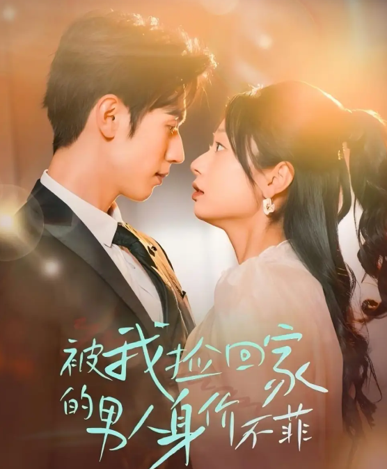 短剧《被我捡回家的男人身价不菲》 免费高清短剧全集，完整版在线观看随心无束缚