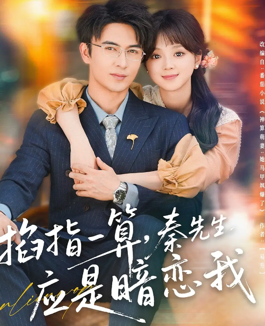 短剧《掐指一算，秦先生应是暗恋我》 高清短剧全集免费在线观，完整版尽享精彩