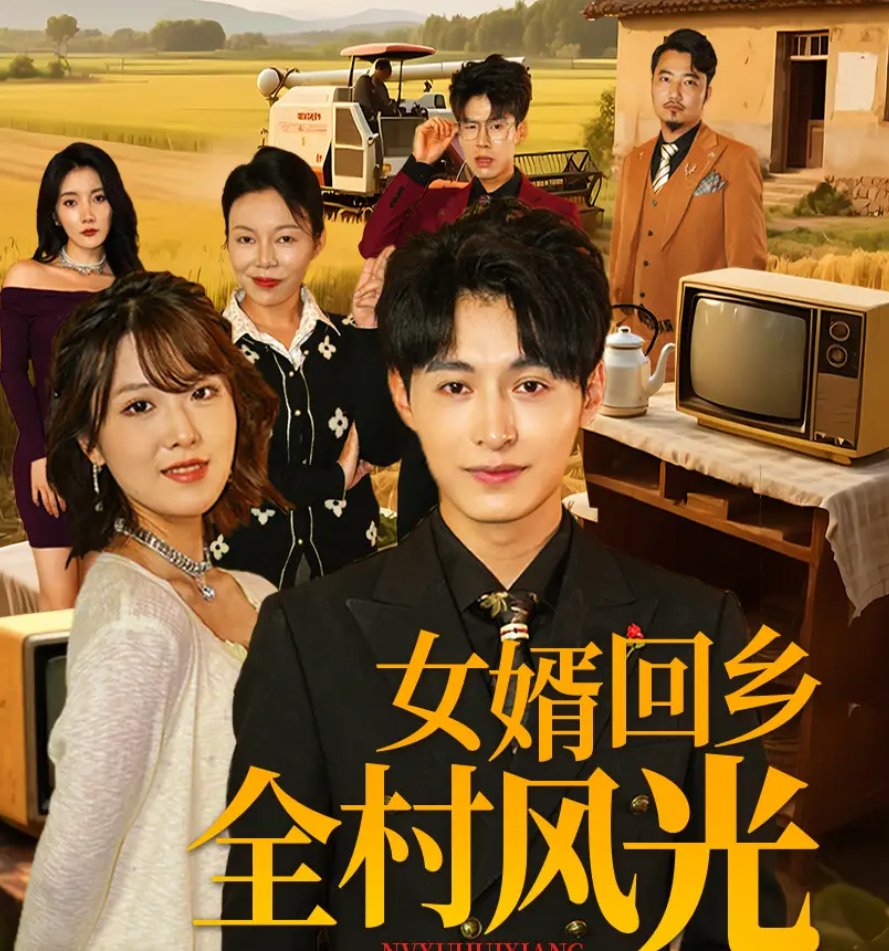 短剧《女婿回乡全村风光》 短剧全集免费看，高清在线播放，大结局震撼来袭