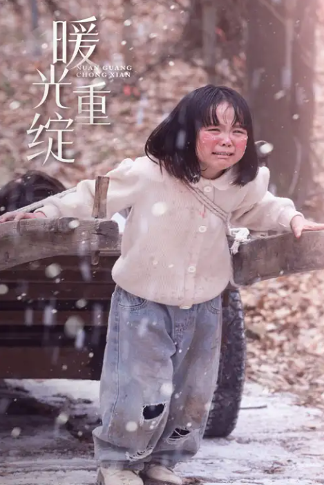 短剧《暖光重绽》 全集免费在线，高清画质，大结局震撼揭晓