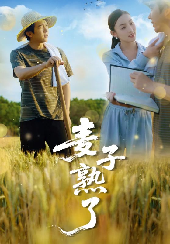 短剧《麦子熟了》 免费在线观看高清全集，完整版大结局已完结