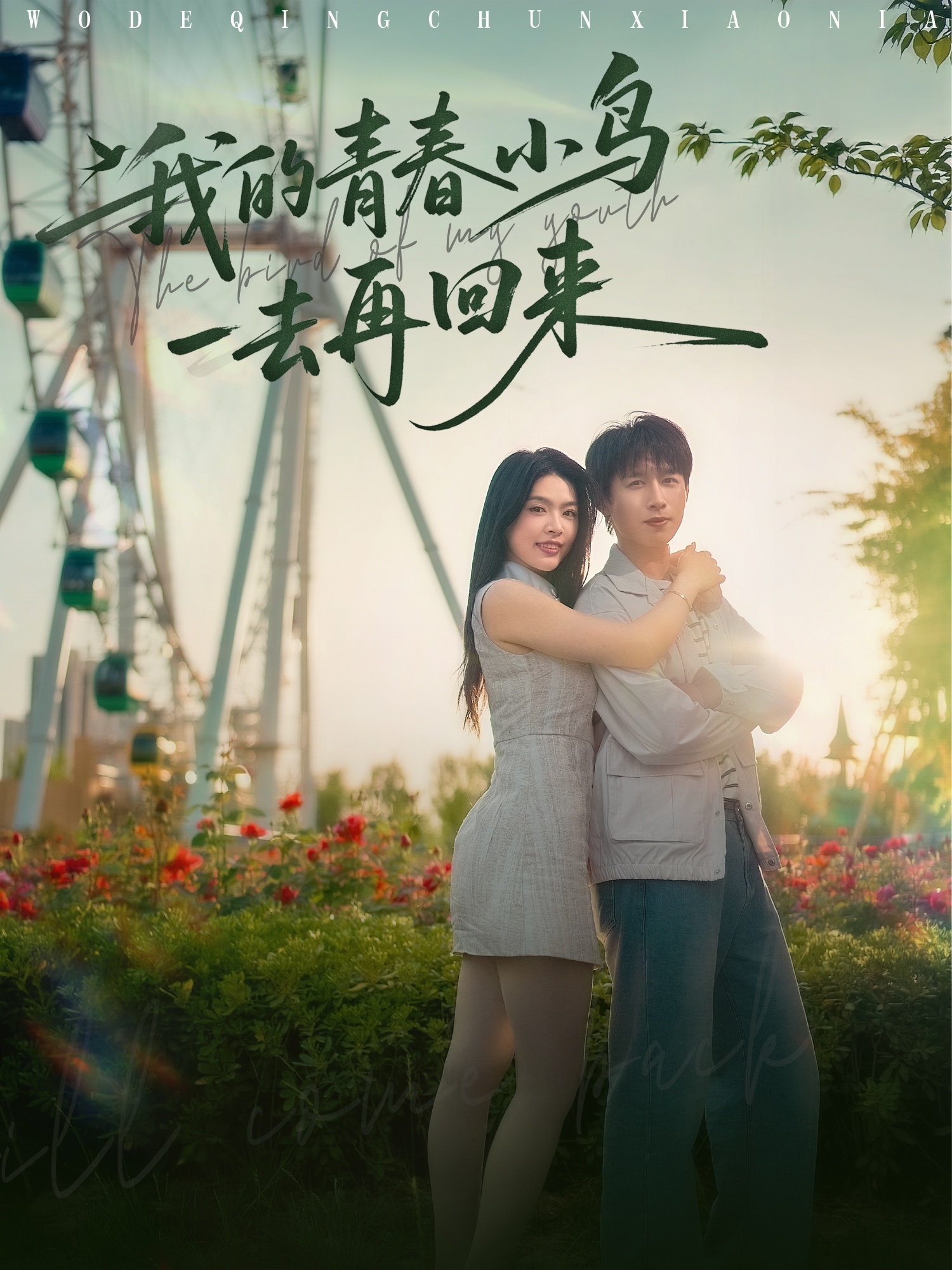 短剧《我的青春小鸟一去再回来》 高清全集！免费在线观看，大结局已完结