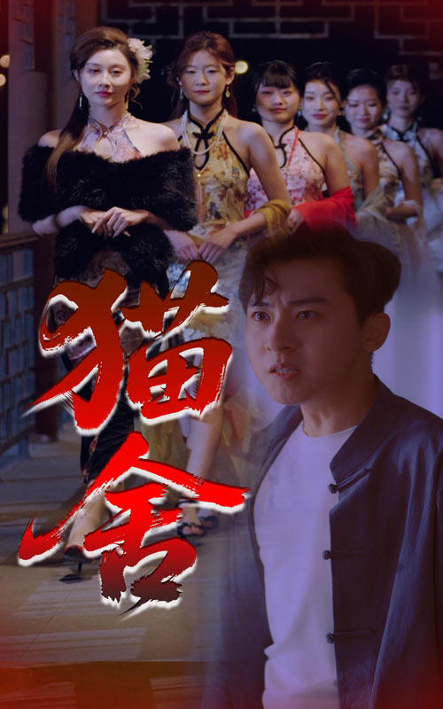 短剧《猫舍》 免费观看高清全集，大结局震撼来袭