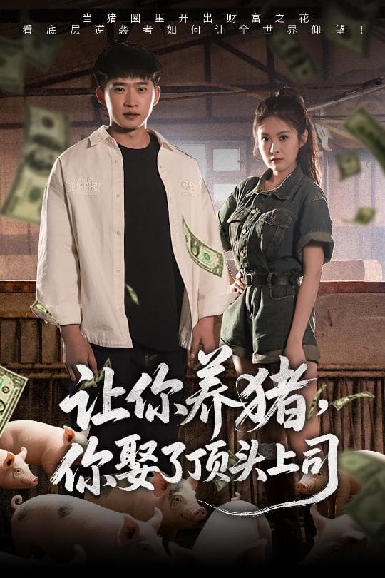 短剧《让你养猪，你娶了顶头上司》 全集免费在线，高清画质，大结局震撼揭晓