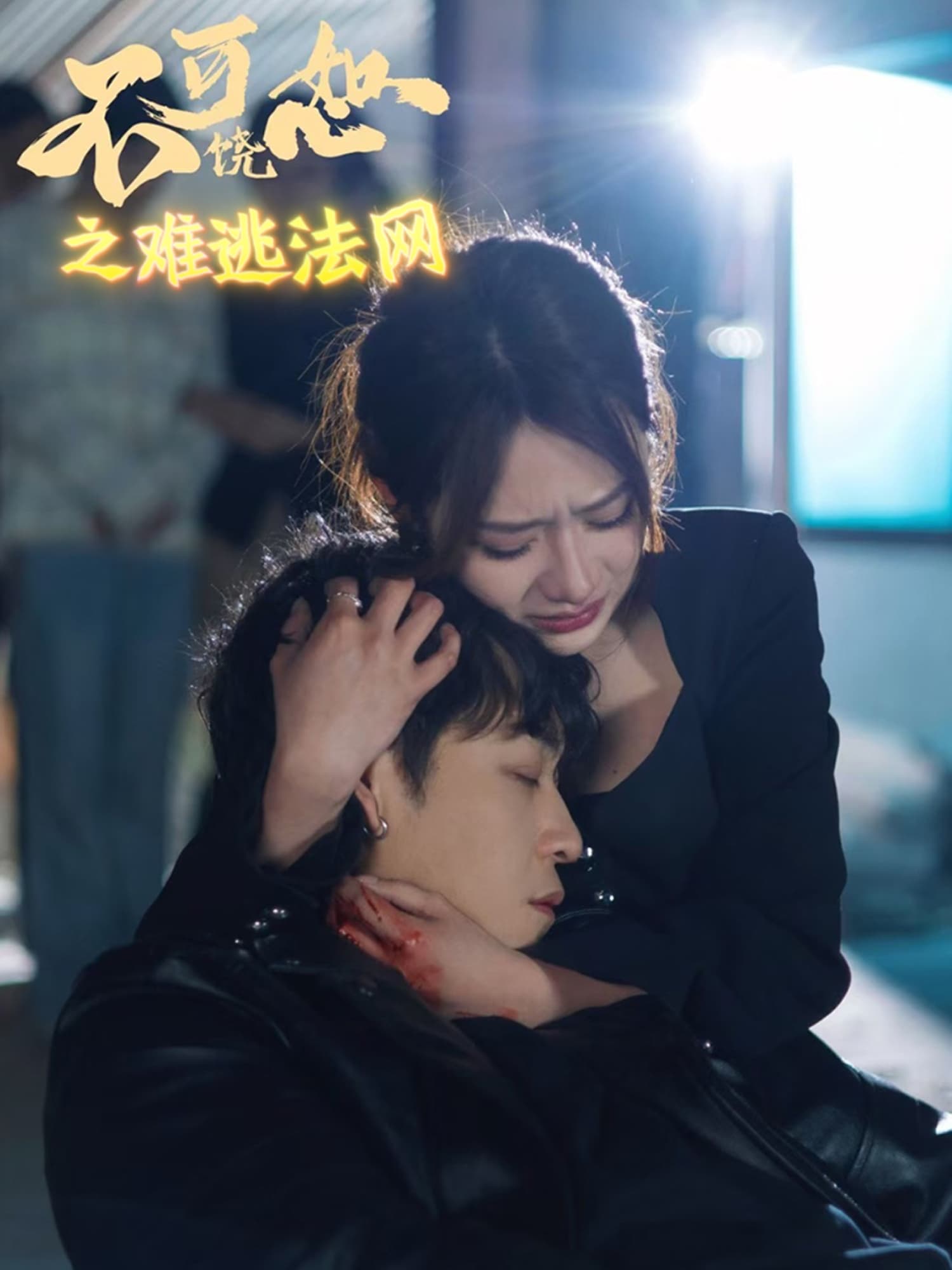 短剧《不可饶恕之难逃法网》 免费观看！高清全集在线播放，大结局已完结