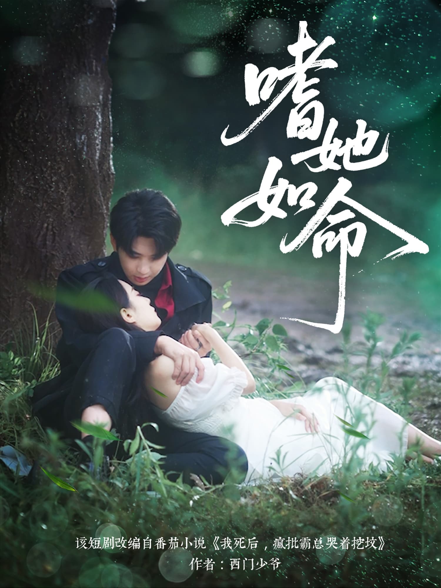 短剧《嗜她如命》 全集免费在线，高清画质，大结局已完结