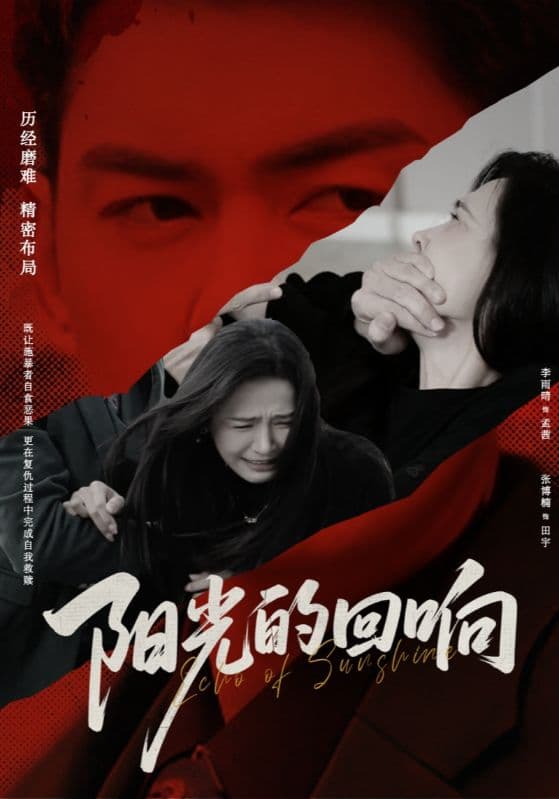 短剧《阳光的回响》 高清短剧全集免费在线，完整版随心欣赏