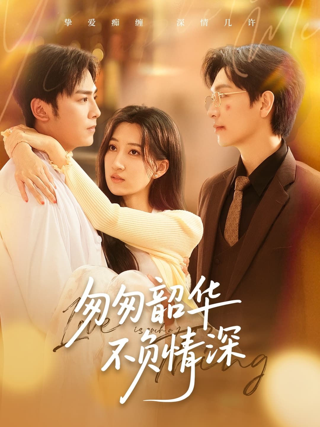 短剧《匆匆韶华不负情深》 免费高清短剧全集，完整版在线无障碍观看