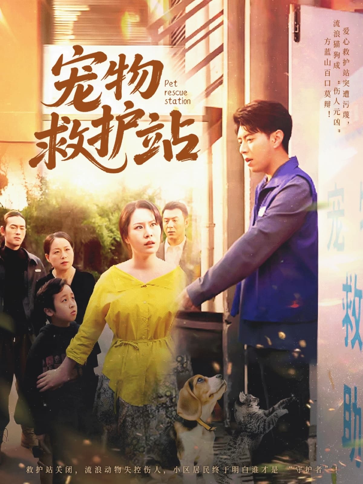 短剧《宠物救护站》 高清短剧全集在线，免费完整版随心观看