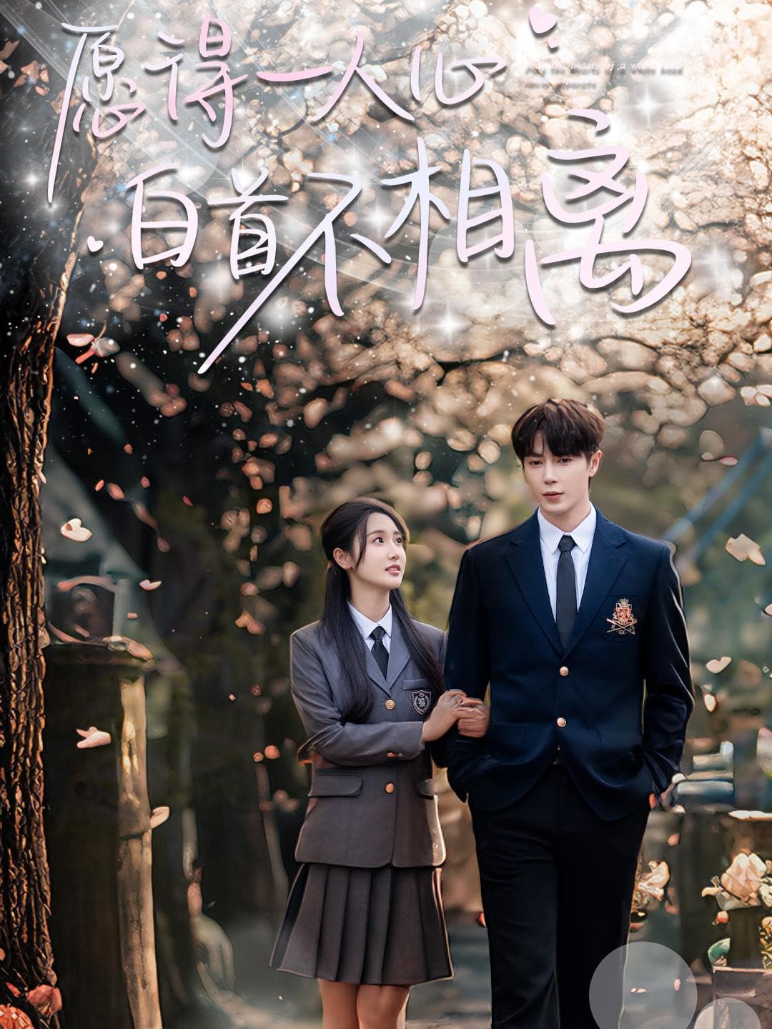 短剧《愿得一人心白首不相离》 高清短剧全集在线，免费完整版无障碍欣赏