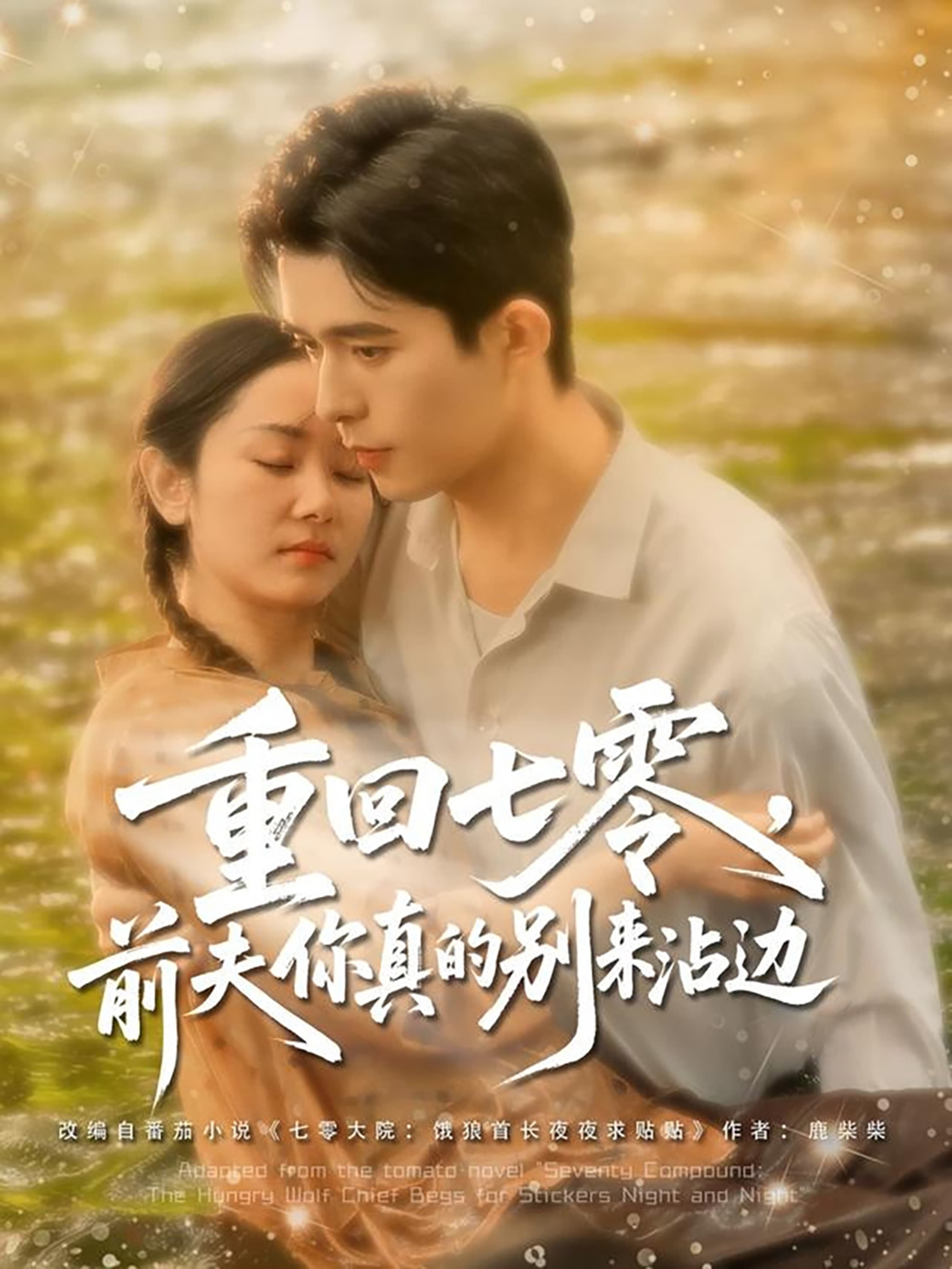 短剧《重回七零前夫你真的别来沾边》 完整版高清短剧免费在线，全集观看无障碍随心享