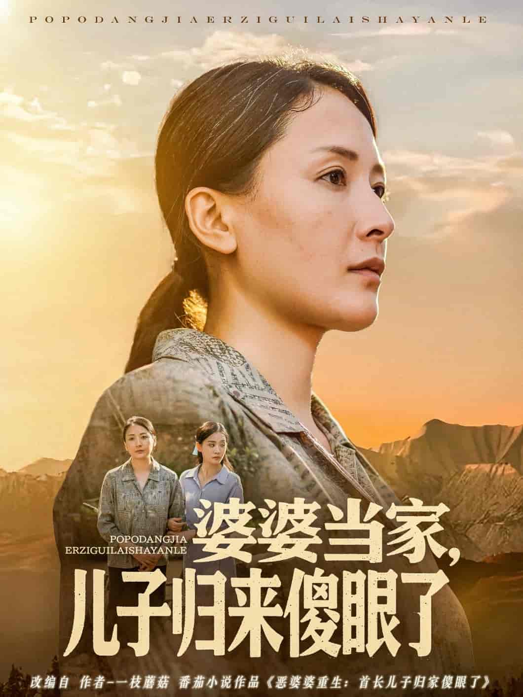 短剧《婆婆当家儿子归来傻眼了》 免费看高清全集，大结局震撼揭晓