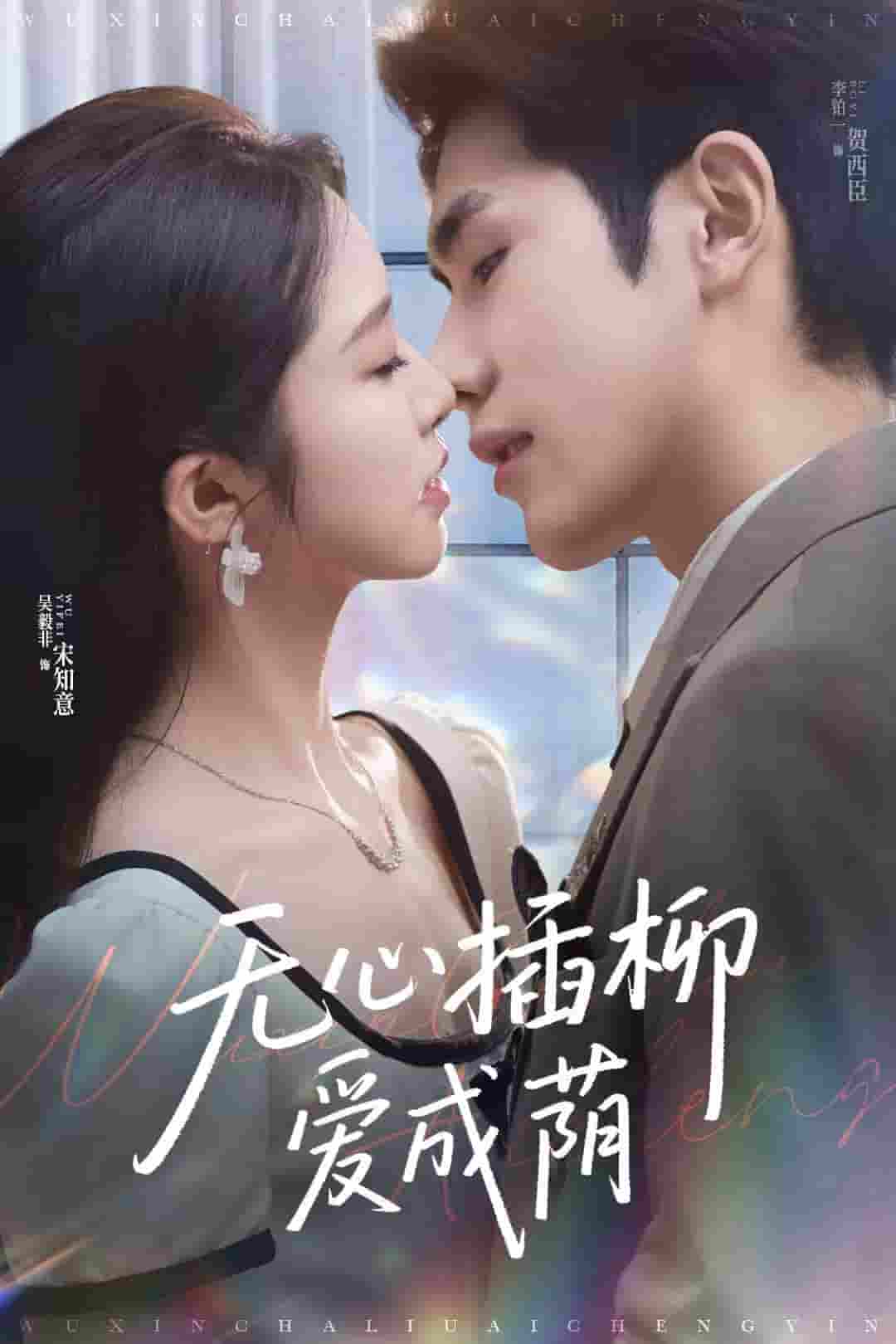 短剧《无心插柳爱成荫》 短剧全集免费在线观看，高清画质，大结局已完结