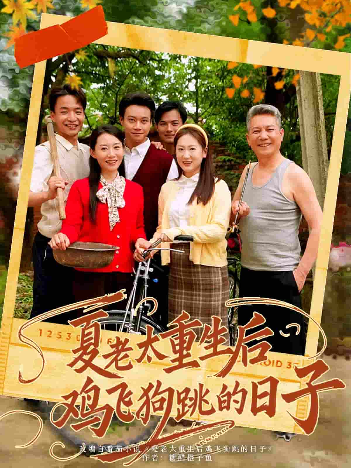 短剧《夏老太重生后鸡飞狗跳的日子》 高清短剧全集免费观看，完整版在线无束缚随心