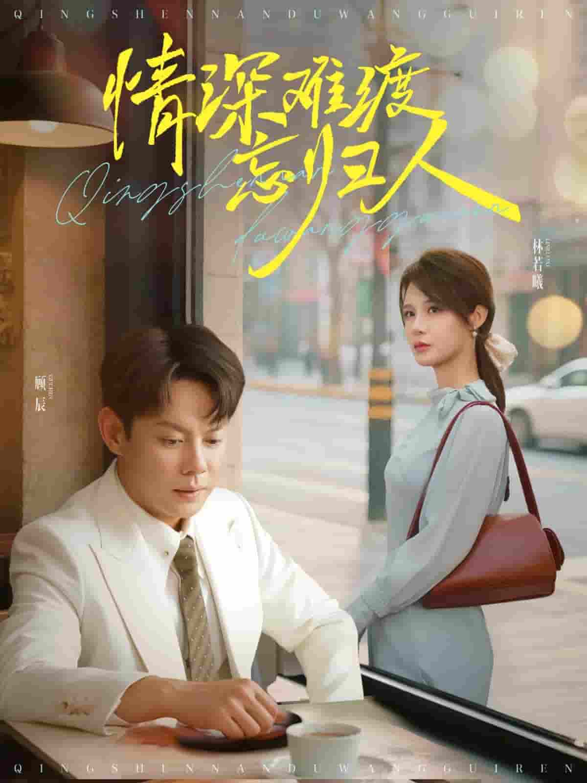 短剧《情深难渡忘归人》 免费观看！高清全集在线播放，大结局已完结