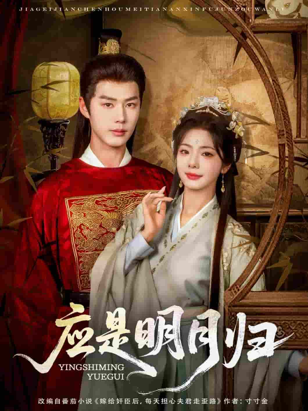 短剧《应是明月归》 高清短剧全集免费在线，完整版观看更自由