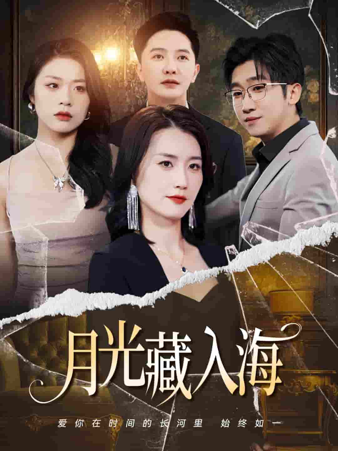 短剧《月光藏入海》 高清短剧全集免费，完整版在线观看无障碍