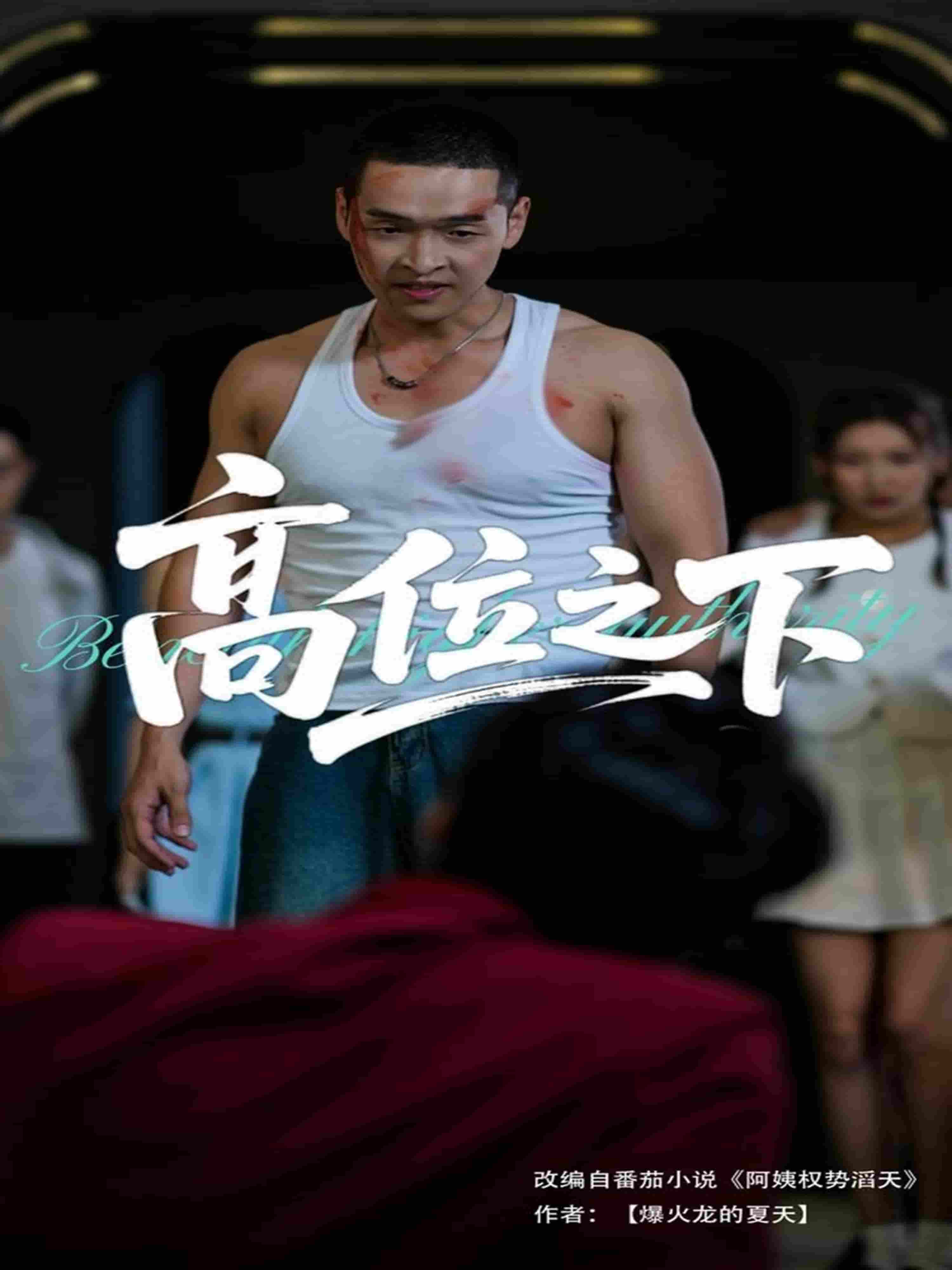 短剧《高位之下》 高清短剧全集免费在线观，完整版尽享精彩