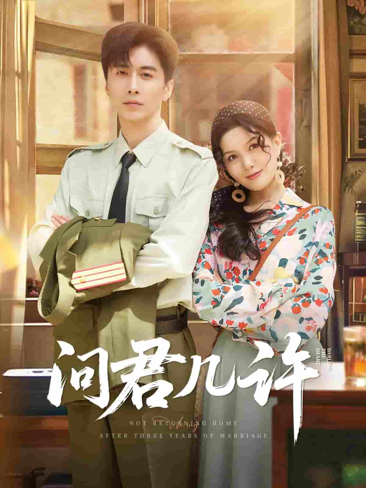 短剧《问君几许》 完整版高清短剧免费看，在线全集无障碍享