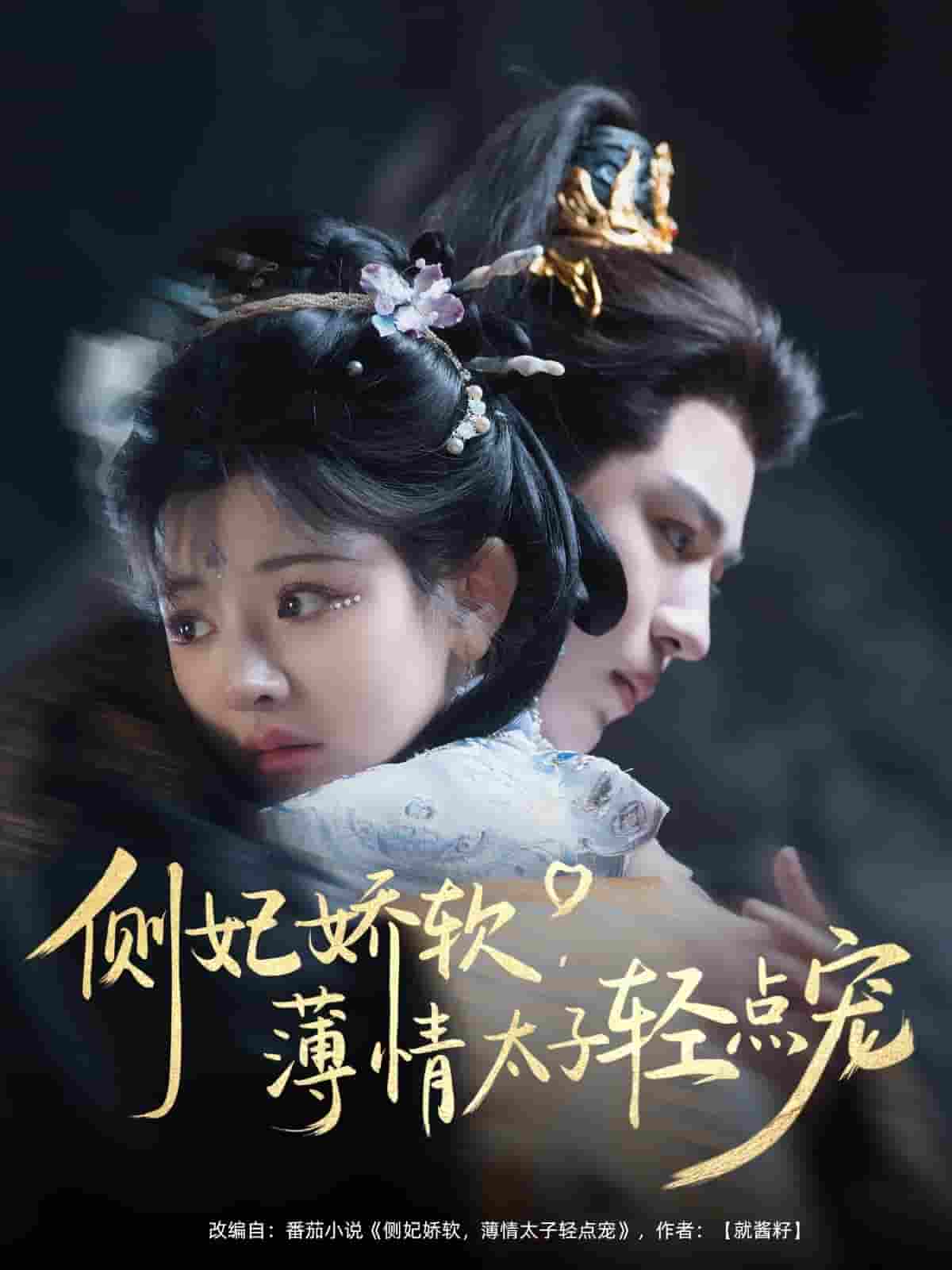 短剧《侧妃娇软薄情太子轻点宠》 全集免费在线，高清画质，大结局震撼揭晓