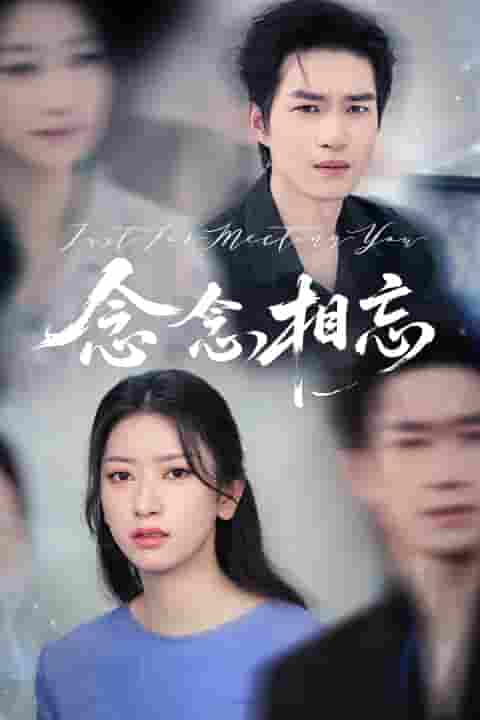 短剧《念念相忘&焚心不候》 高清短剧全集在线，免费完整版观看无障碍