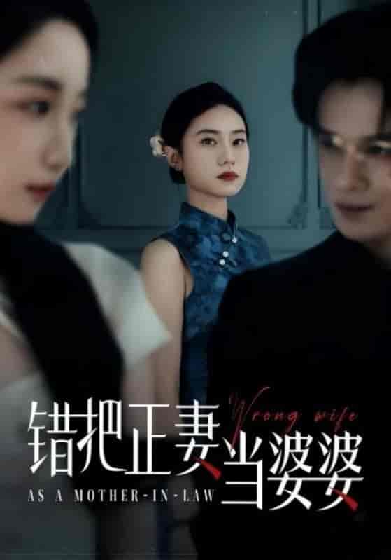 短剧《错把正妻当婆婆》 免费高清短剧全集在线，完整版观看无束缚