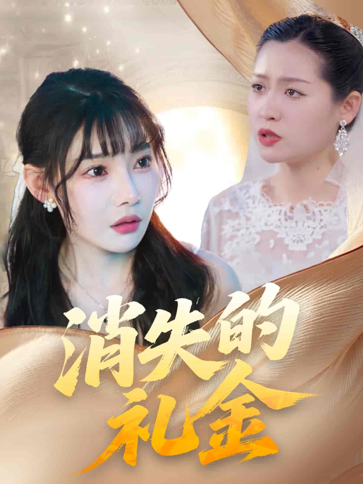 短剧《消失的礼金》 免费观看高清短剧，全集完整版在线无束缚