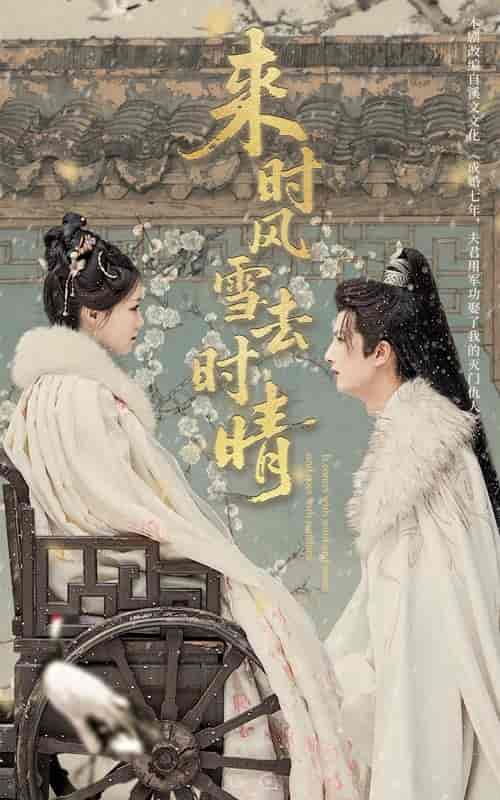 短剧《来时风雪去时晴》 免费高清短剧全集在线，完整版观看无束缚