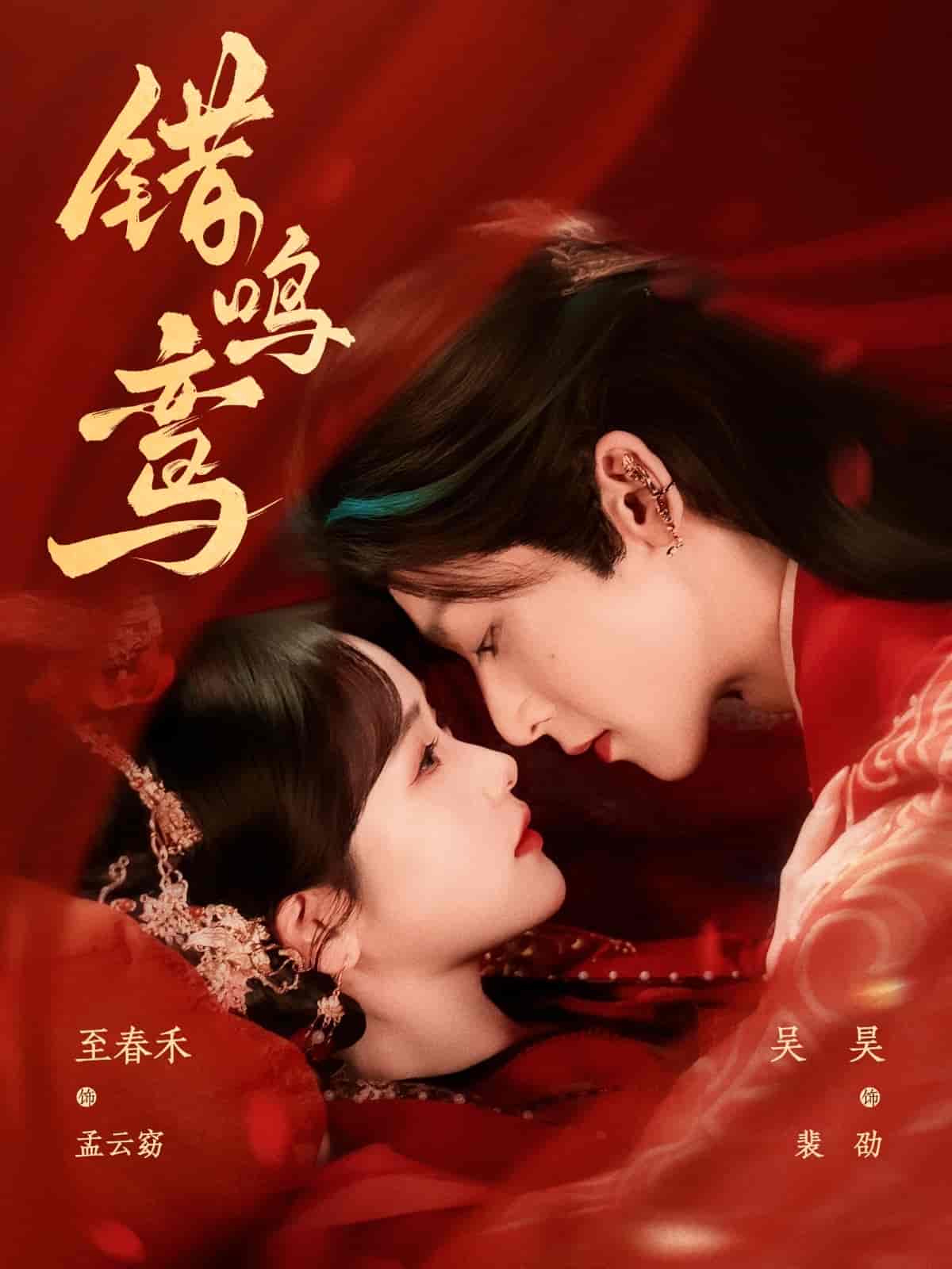 短剧《错鸣鸾》 全集免费在线，高清画质，大结局震撼揭晓