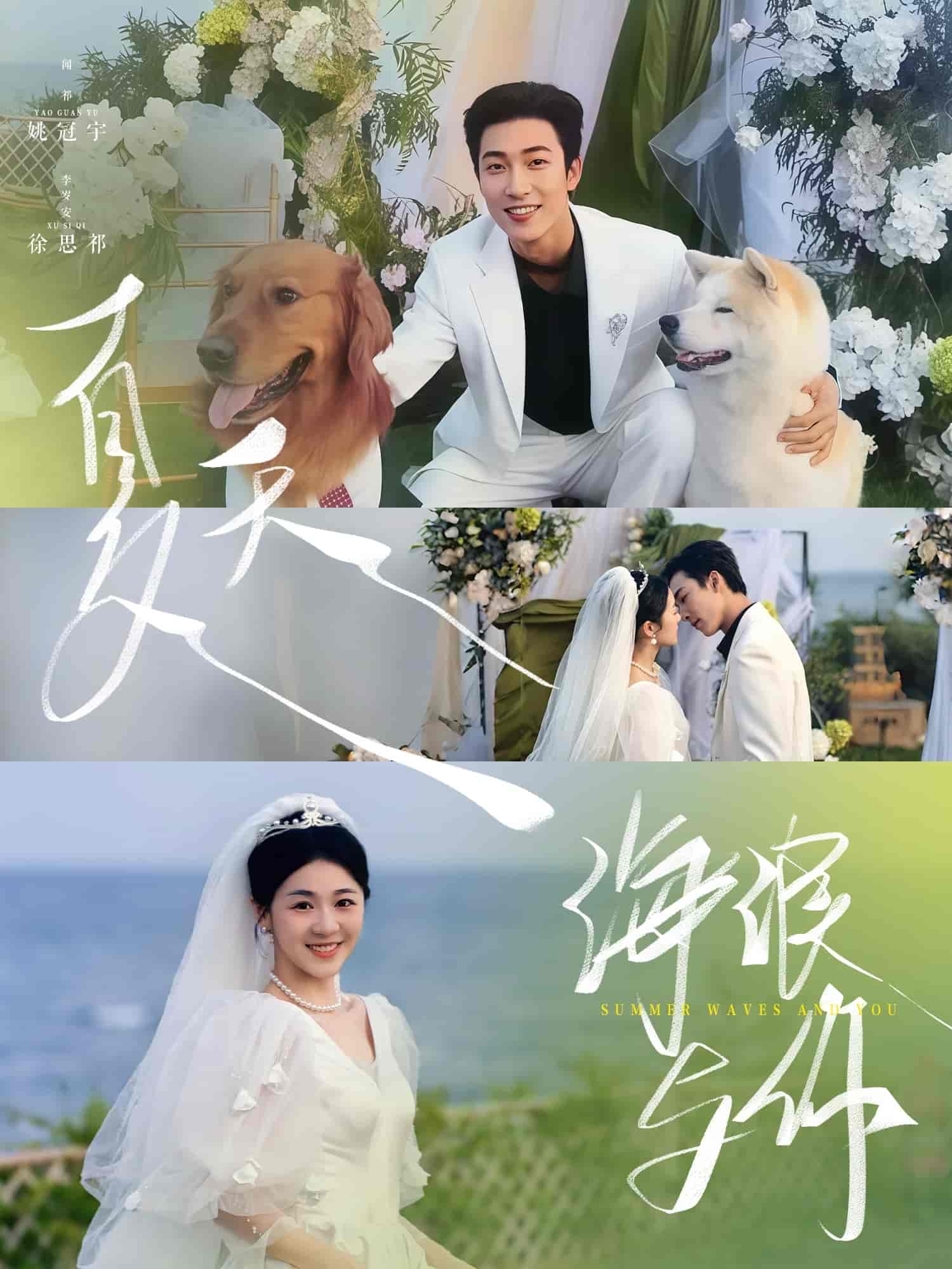 短剧《夏天，海浪与你》 全集免费在线，高清画质，大结局震撼揭晓