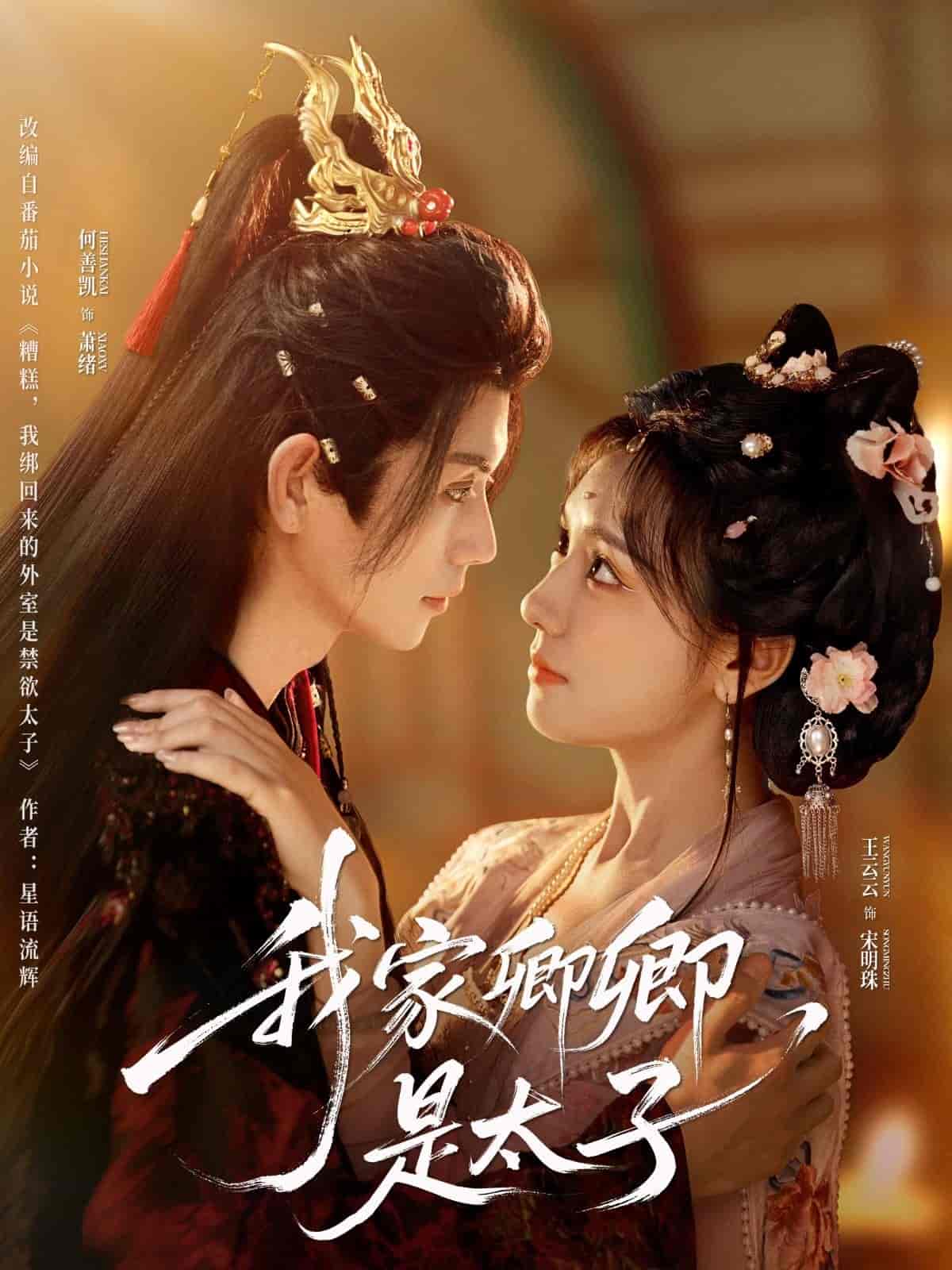 短剧《我家卿卿是太子》 完整版高清短剧免费，在线全集无障碍欣赏