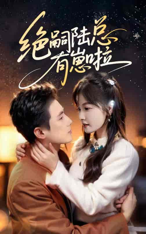 短剧《绝嗣陆总有崽啦》 短剧全集在线，免费高清观看，大结局震撼来袭！