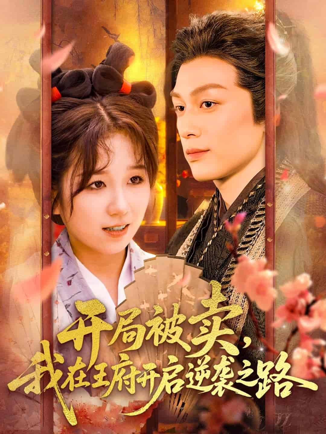 短剧《开局被卖我在王府开启逆袭之路》 高清短剧全集在线，免费完整版观看