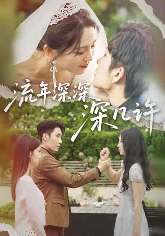 短剧《流年深深深几许》 短剧全集免费看，高清在线播放，大结局震撼！