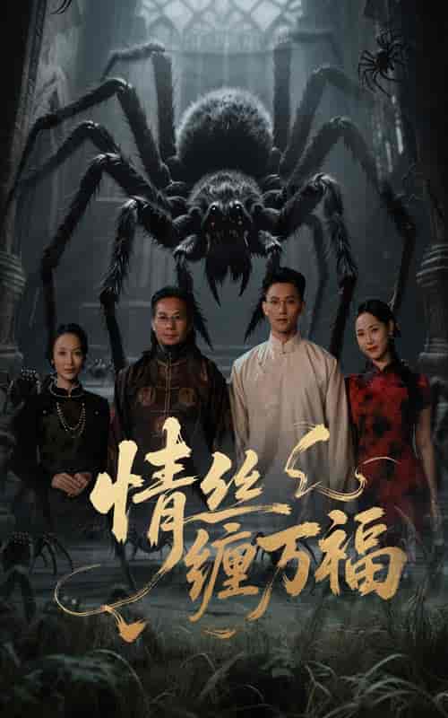 短剧《情丝缠万福》 高清无广告！全集免费看，大结局已完结