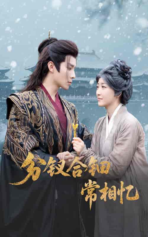 短剧《分钗合钿常相忆》 高清全集！短剧免费在线观看，大结局已完结！