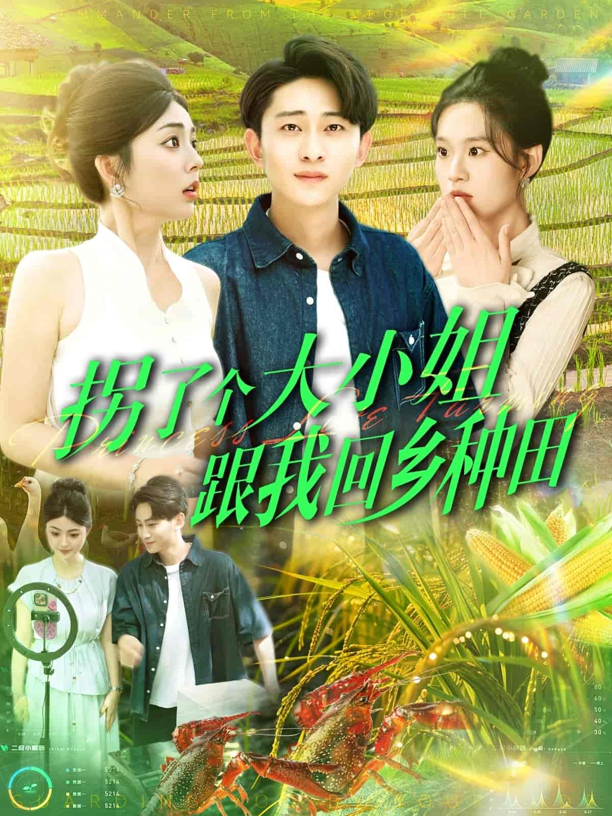 短剧《拐了个大小姐跟我回乡种田》 免费观看高清全集，大结局已完结