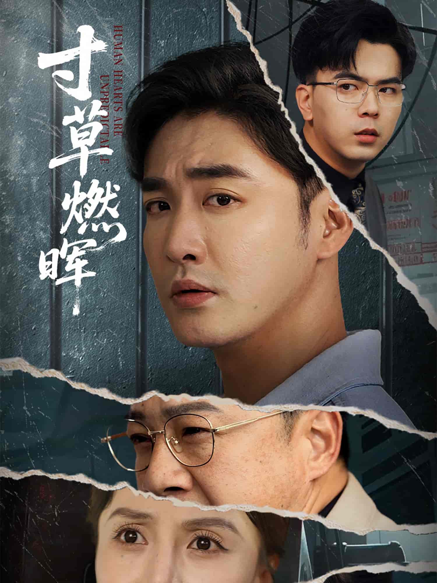 短剧《寸草燃晖》 免费看高清全集，大结局震撼揭晓