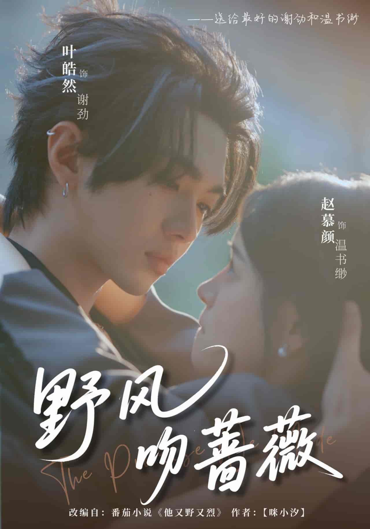 短剧《野风吻蔷薇》 完整版高清短剧免费看，在线全集随心享