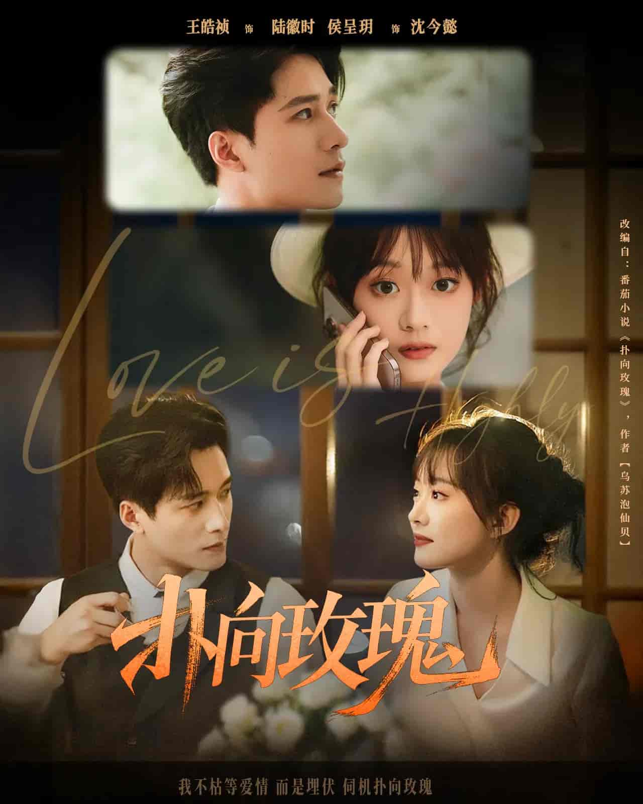 短剧《扑向玫瑰》 免费观看高清短剧，全集完整版在线无束缚自由享