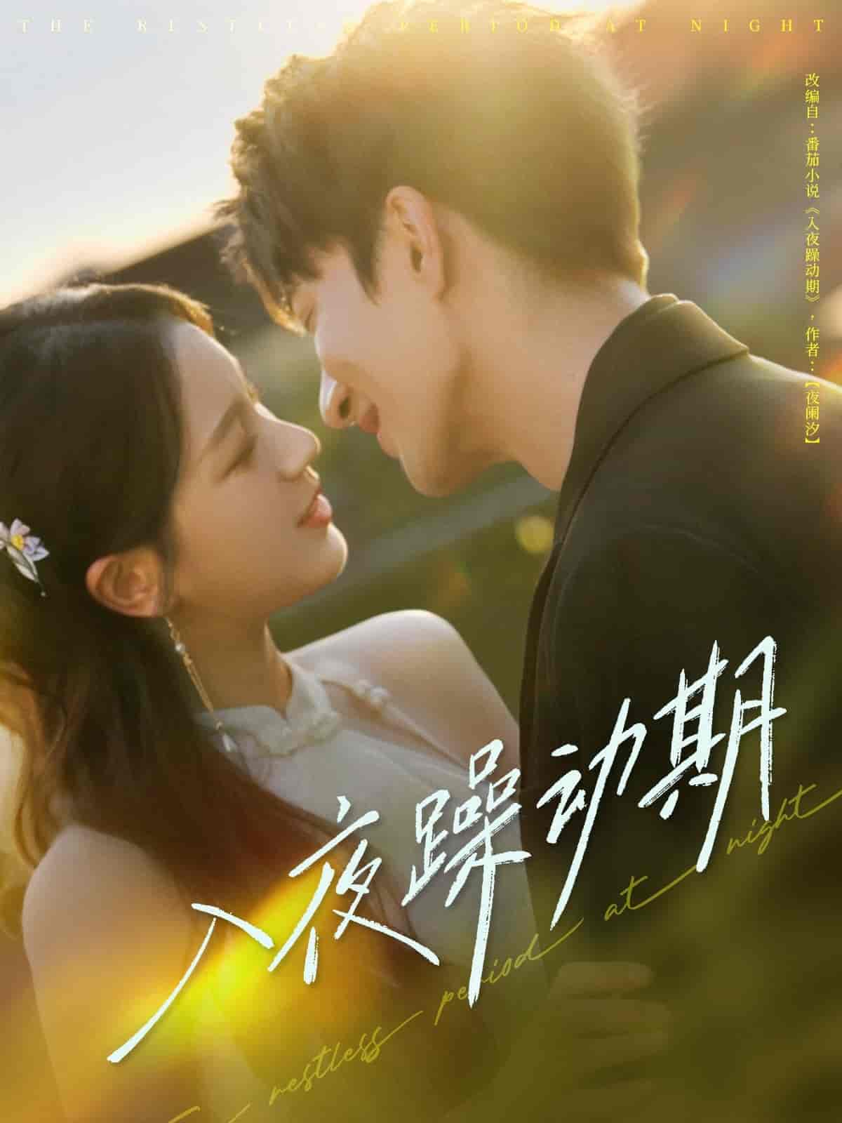 短剧《入夜躁动期》 短剧全集免费看，高清在线播放，大结局已完结！