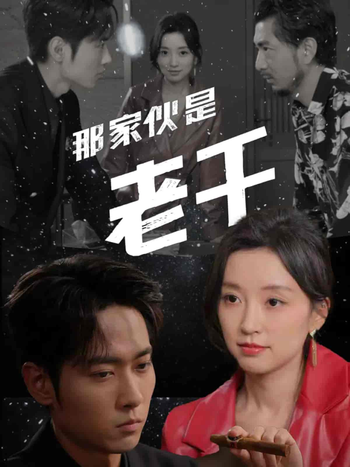 短剧《那家伙是老千》 高清短剧全集免费看，完整版在线无障碍