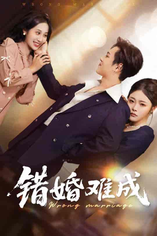 短剧《错婚难成》 免费看全集，高清在线播放，完整版大结局已完结！